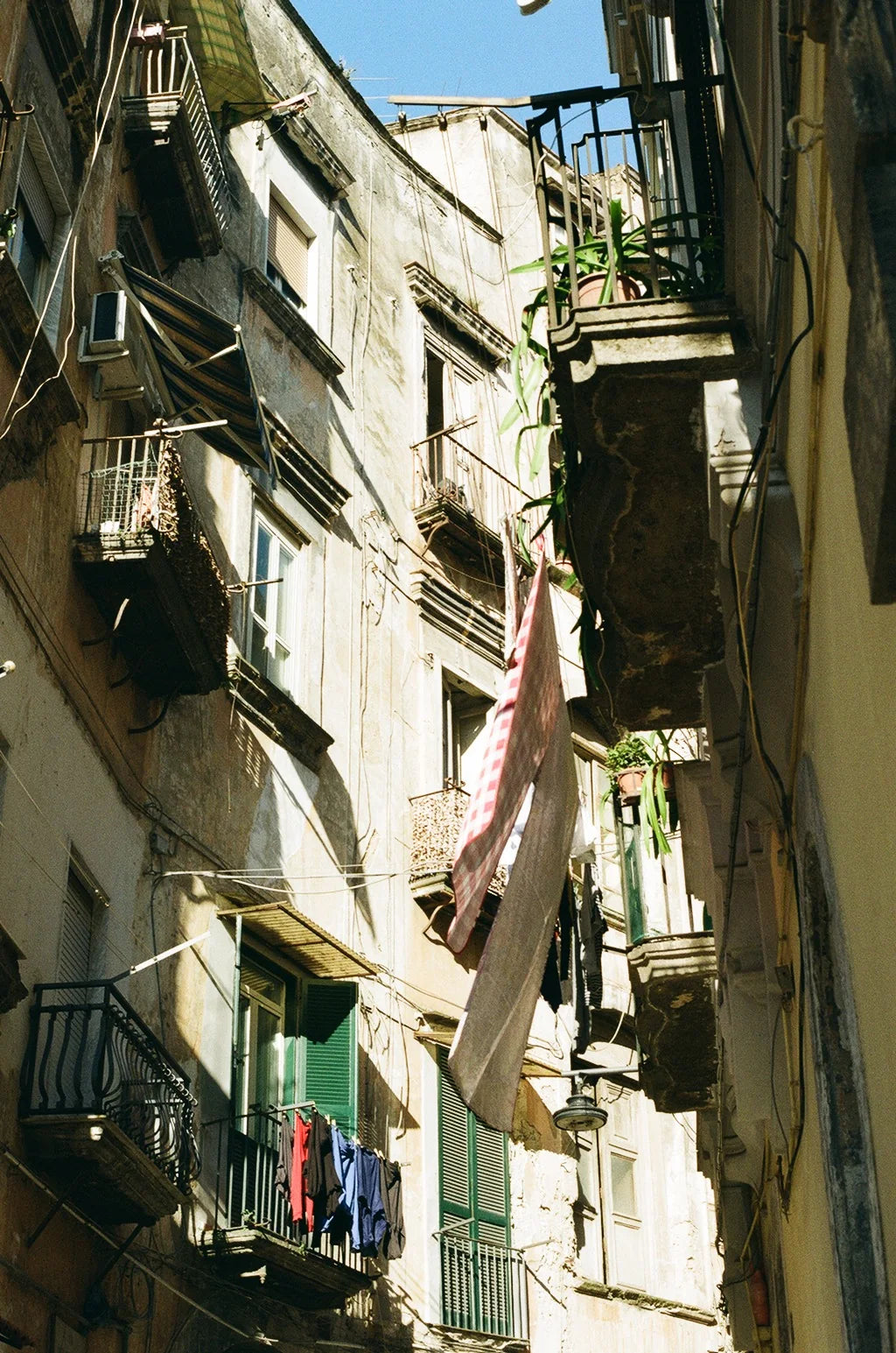 Gallary image