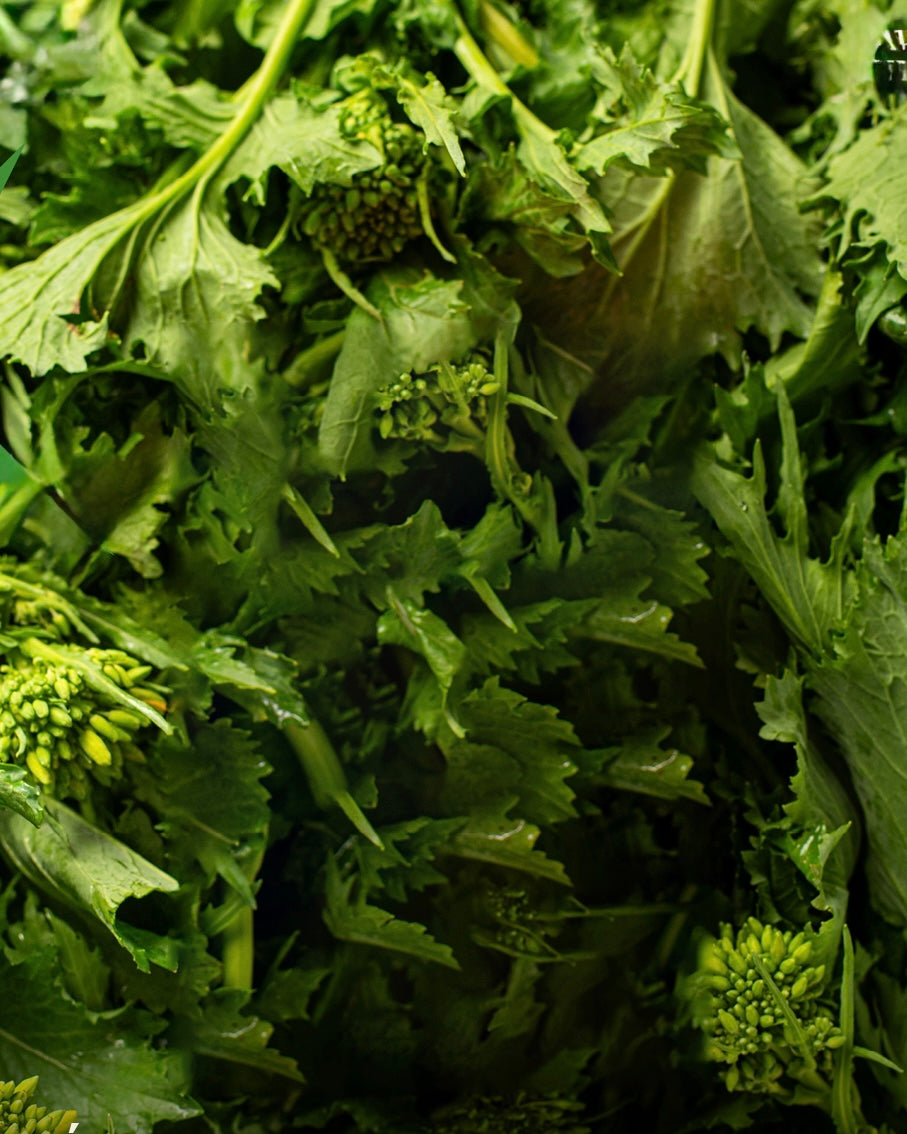 Friarielli Sott'Olio